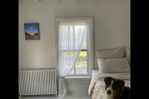 House sit in Philadelphia, PA, US