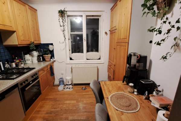 House sit in Heiligenstadt, Austria