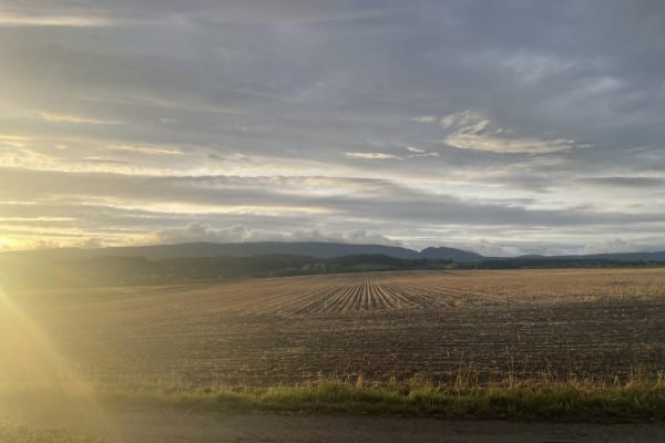 House sit in Morges, Switzerland