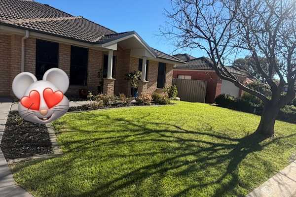 House sit in Albury, NSW, Australia