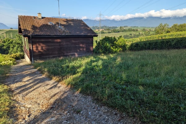 House sit in Genève, Switzerland