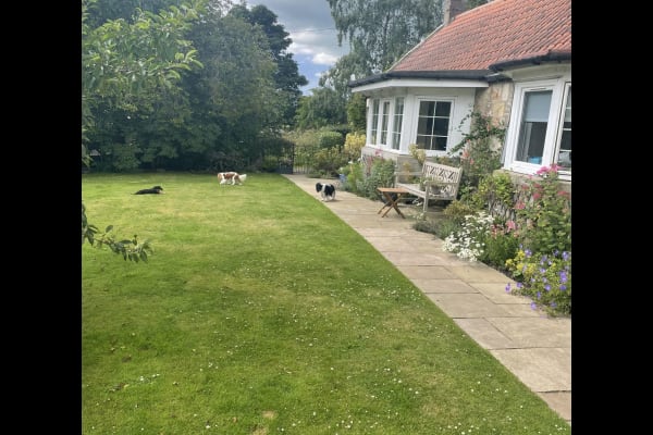 House sit in Ceres, United Kingdom