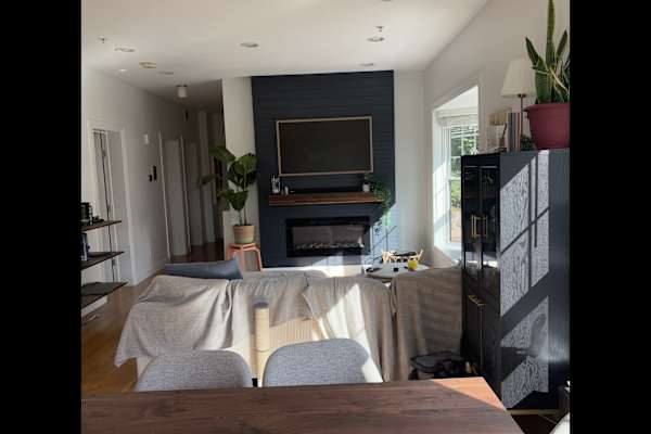 House sit in Boston, MA, US