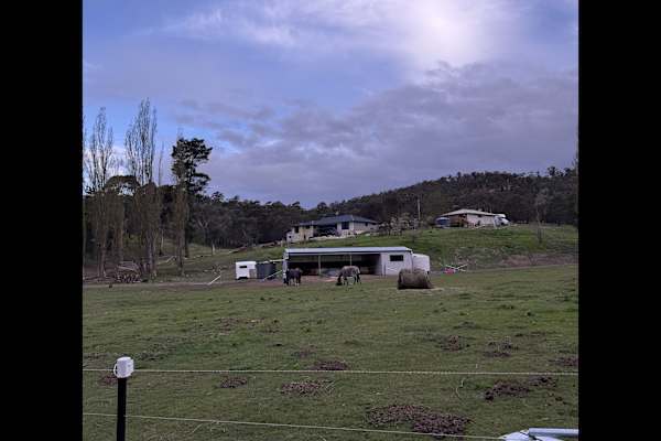 House sit in New Norfolk, TAS, Australia