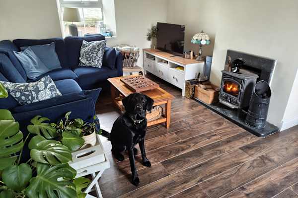 House sit in Youghal, Ireland