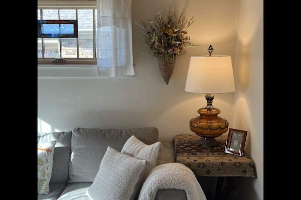 House sit in Kansas City, MO, US