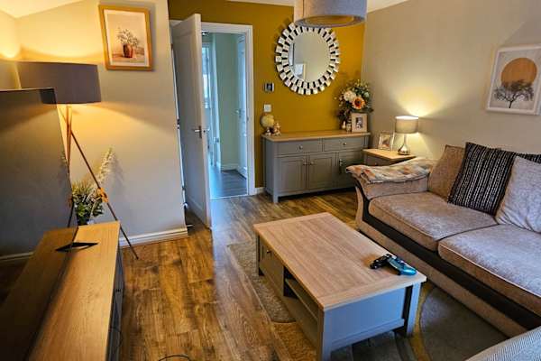 House sit in Swansea, United Kingdom