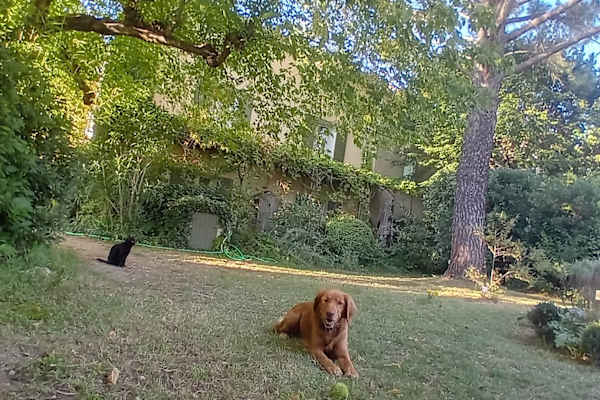 House sit in Pernes-les-Fontaines, France