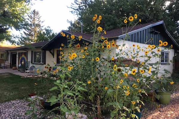 House sit in Flagstaff, AZ, US