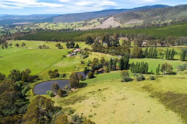 House sit in Fentonbury, TAS, Australia