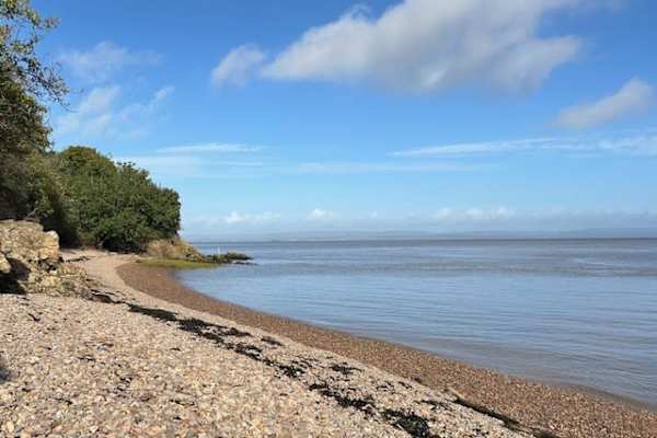 House sit in Portishead, United Kingdom