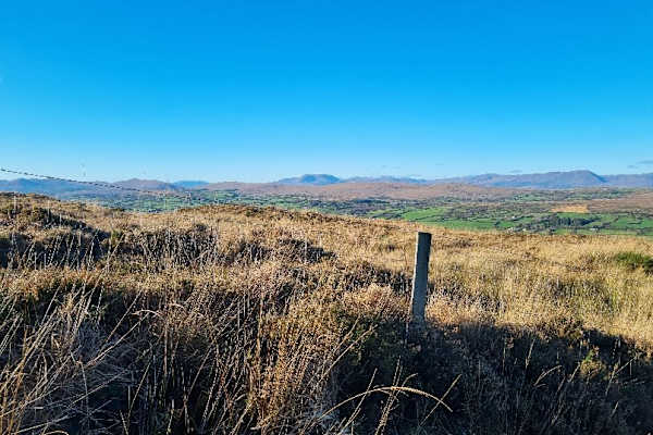 House sit in Durrus, Ireland