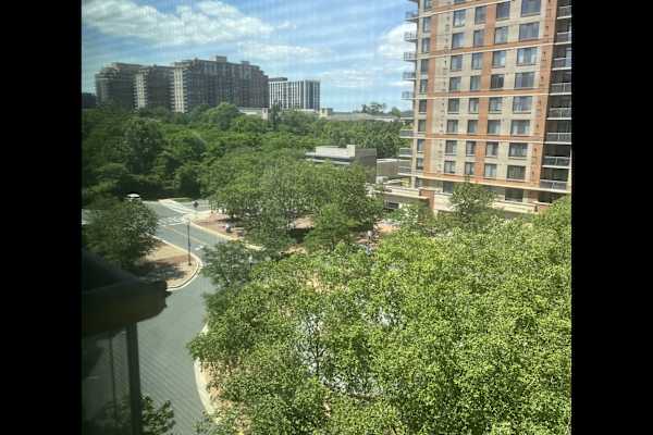 House sit in North Bethesda, MD, US