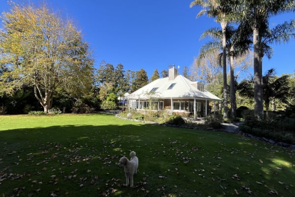 House sit in Matakana, New Zealand