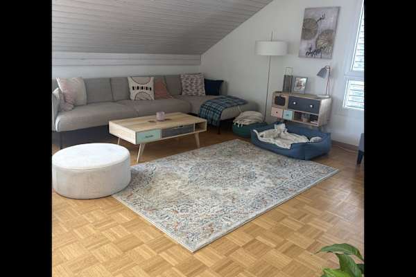House sit in Rolle, Switzerland