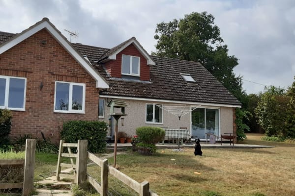 House sit in Tonbridge, United Kingdom