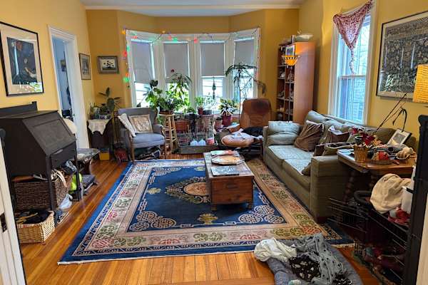 House sit in Cambridge, MA, US