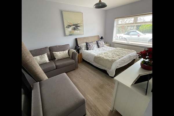 House sit in Exeter, United Kingdom