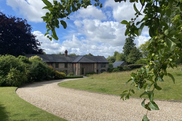 House sit in Petersfield, United Kingdom