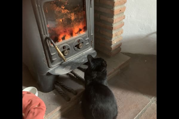 House sit in Coín, Spain