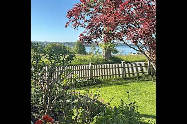 House sit in Harpswell Center, ME, US