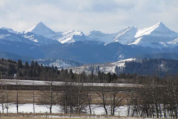 House sit in Turner Valley, AB, Canada