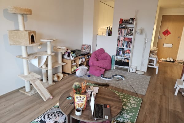 House sit in Espoo, Finland