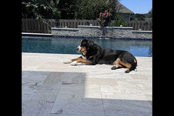 House sit in Fairhope, AL, US