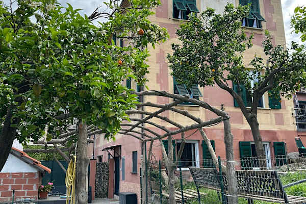House sit in Camogli, Italy