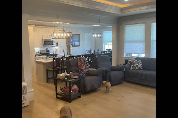 House sit in Freeland, MI, US