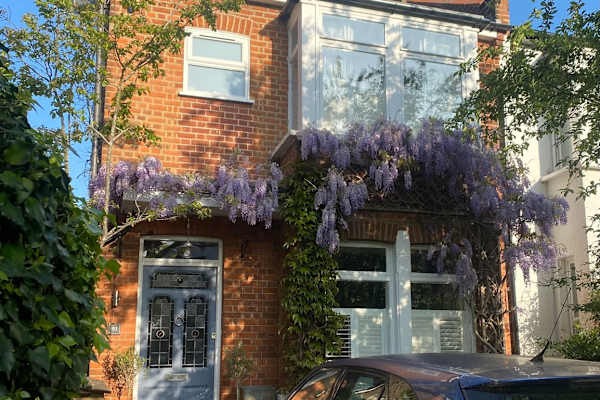 House sit in Hampton, United Kingdom