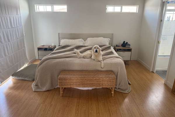 House sit in San Diego, CA, US