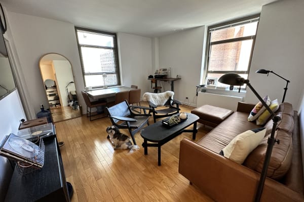 House sit in New York City, NY, US