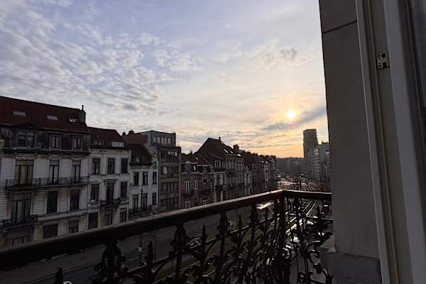 House sit in Ixelles, Belgium