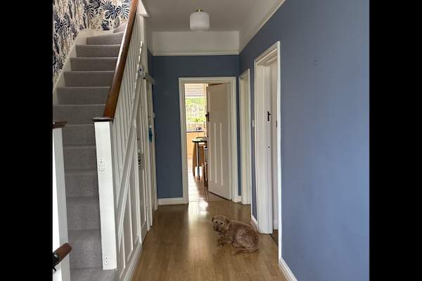 House sit in Beckenham, United Kingdom