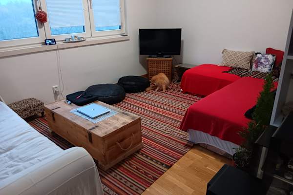 House sit in Prague, Czech Republic