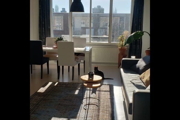 House sit in Amsterdam, Netherlands