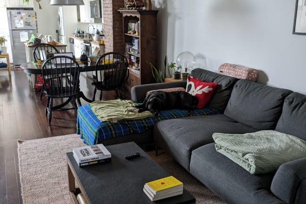 House sit in Montréal, QC, Canada