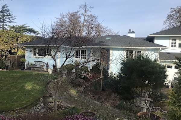 House sit in Victoria, BC, Canada