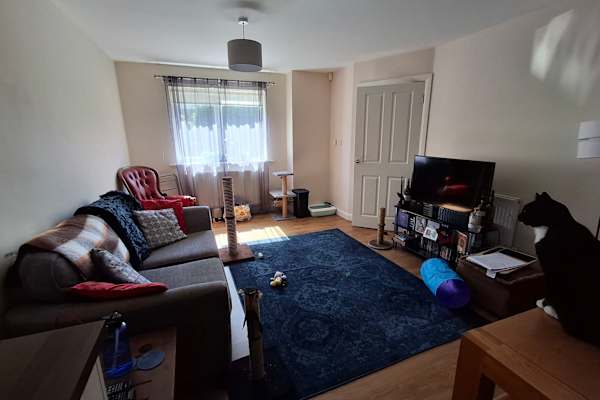 House sit in Shipley, United Kingdom