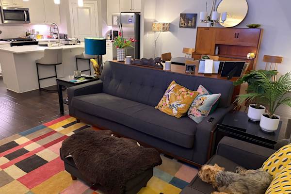 House sit in Atlanta, GA, US