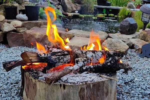 House sit in Wharncliffe Side, United Kingdom