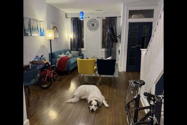 House sit in Philadelphia, PA, US