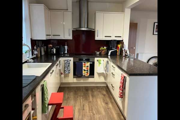 House sit in Bristol, United Kingdom