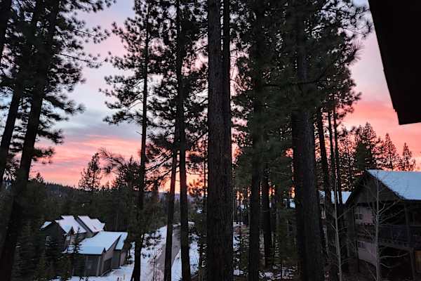 House sit in Truckee, CA, US