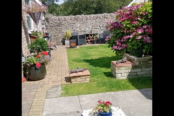 House sit in Pontypridd, United Kingdom