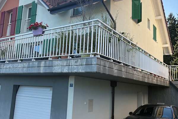 House sit in Arzier, Switzerland