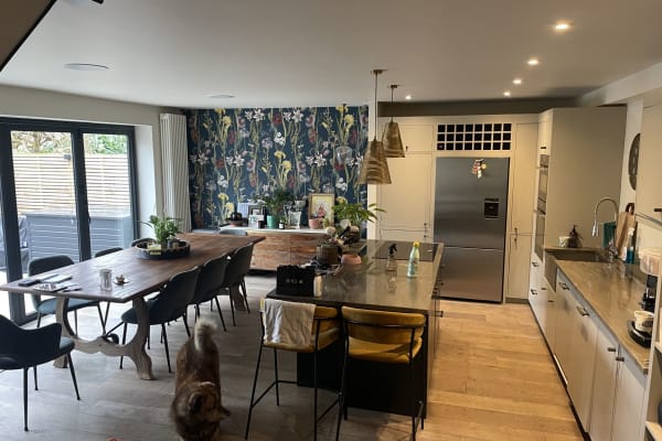 House sit in Kingston upon Thames, United Kingdom