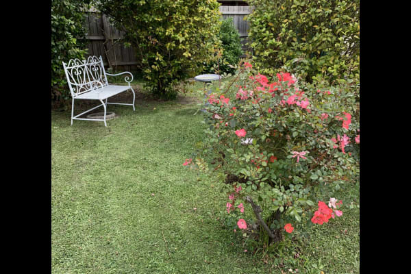 House sit in Melbourne, VIC, Australia