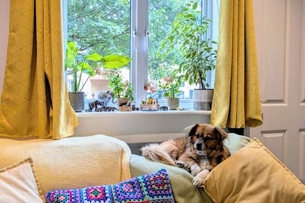 House sit in Southampton, United Kingdom